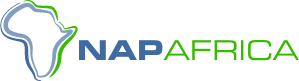 Company 9 NAPAfrica Logo Company